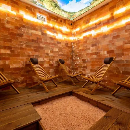 公寓式酒店 Alexander